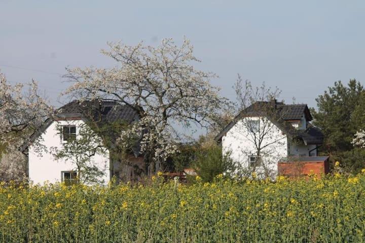 Domek W Bialej - Mak Marcinowice Dış mekan fotoğraf